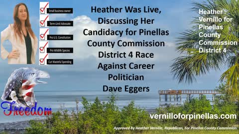 Heather Vernillo, Candidate Pinellas County Commission, Running Against Republican Dave Eggers