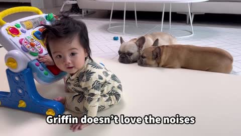 I CAN'T BELIEVE IT My Dog Sings To Our Baby