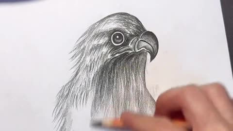 Amazing art||pencil drawing||drawing skills