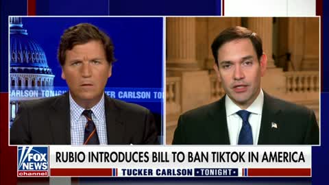 Rubio: Everyone agrees TikTok is dangerous