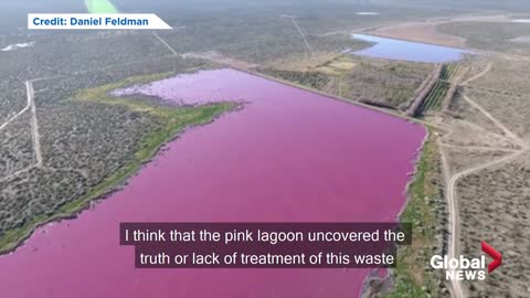 Why have two Argentina lakes turned pink? Environmentalists say it is because of pollution