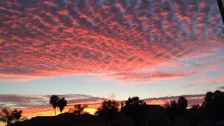 Arizona Sky in Lemoore CA