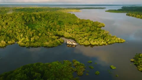Amazon Rainforest in Brazil - Jungle Cruise on the Amazon River