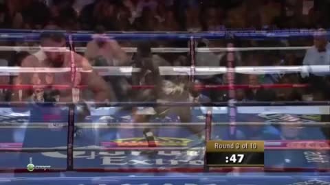 DEONTAY WILDER BRUTAL KNOCKOUTS!!!