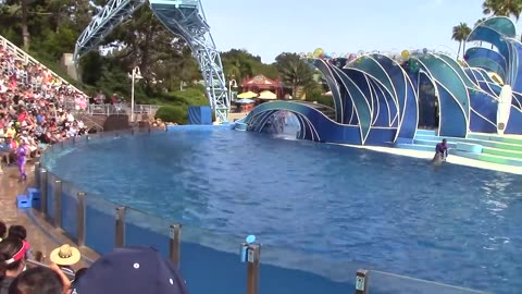 Dolphin Days (Full Show) at SeaWorld San Diego