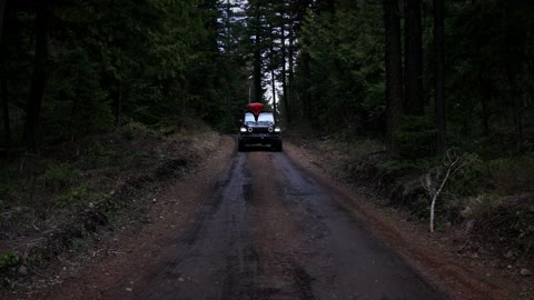 JEEP GLADIATOR CRUISING IN THE WOODS! 🌲🪵🌲 #shorts