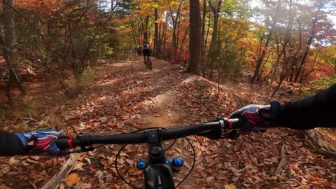 Beautiful Fall Colors Paris Mountain South Carolina MTB Ride