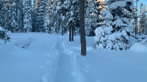 Early Morning Snow Hiking – Central Oregon – Swampy Lakes Sno-Park – 4K