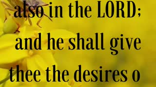 Psalms 37:4 “Delight thyself also in the LORD; and he shall give thee the desires of thine heart.”