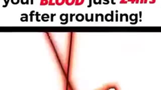 LOOK WHAT HAPPENS TO YOUR BLOOD AFTER GROUNDING!