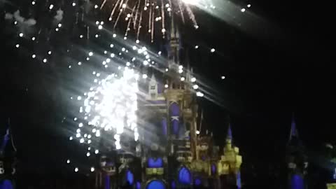 Disney magic kingdom