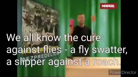 Navalny um flugur og kakkelakkar