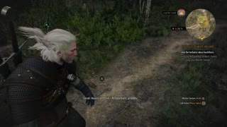 THE WITCHER 3 WILD HUNT PART 3 No commentary