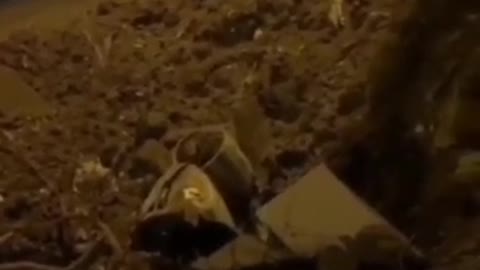 ️In Croatian Zagreb, an unidentified object fell from the sky