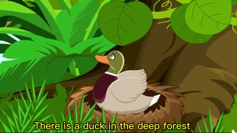 In the deep forest, ducks lay a lot of eggs, and one is very special