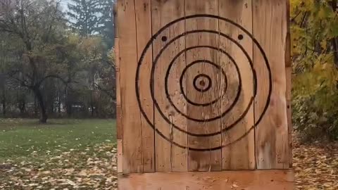 Which is your favorite? #watl #shorts #axethrowing #bullseye #trickshots