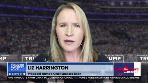 Liz Harrington: America no longer has a “blind justice system”