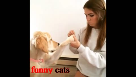 Funniest Animals 2023 😂 Funny Cats and Dogs 🐱🐶 | Funny Animal Videos 2023