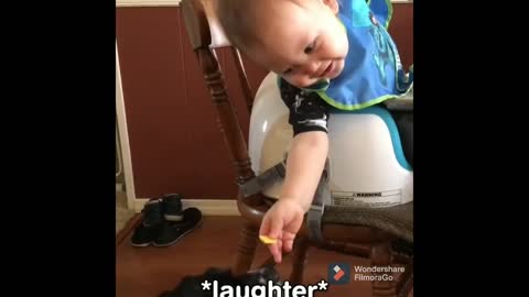 #Dogs# and cats playing with baby 🤣😂 funny moments