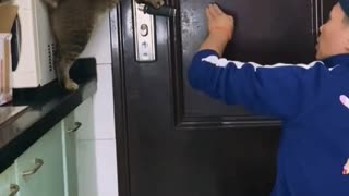 MY CAT BEFORE JUST OPENED A DOOR