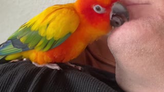 Parrot's special relationship with his grandfather