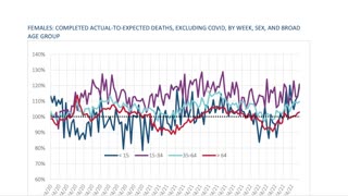 Life insurers confirm excess US deaths