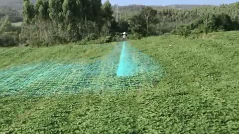 DJI - Agras T16 - Agricultural Spraying Drone