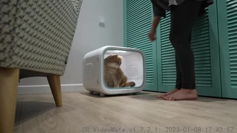 New Pet Dryer for Hosico - PETKIT AirSalon Max