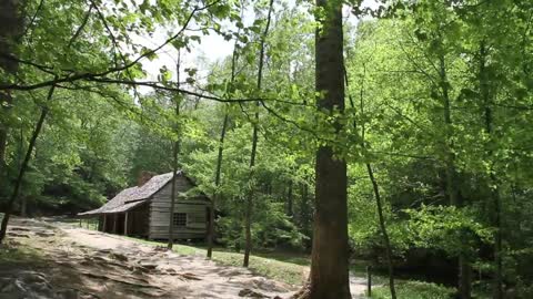 Noah "Bud" Ogle cabin