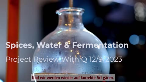 Gewürze, Wasser & Fermentation