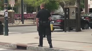 Police Help Escort Black Bear in Downtown Asheville to Safety