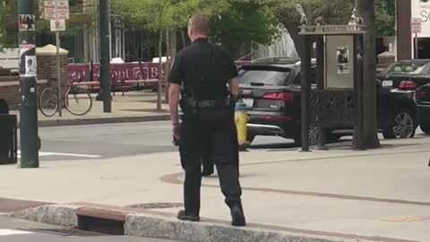 Police Help Escort Black Bear in Downtown Asheville to Safety