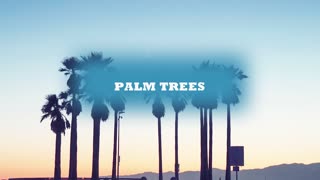 danc macabre - palm trees (type beat)