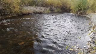 Slow moving stream