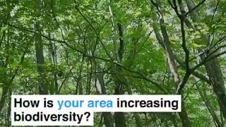 Tiny Urban Forests! The Secret to Transforming Cities into Natural Paradise