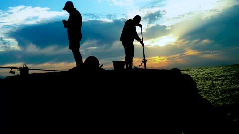 Fish Fisherman Silhouette Marine Water Animal