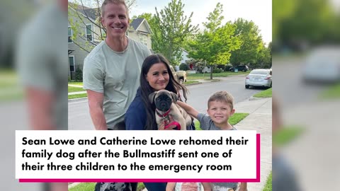 Sean Lowe rehomes family dog after head bite sends 6-year-old son to ER
