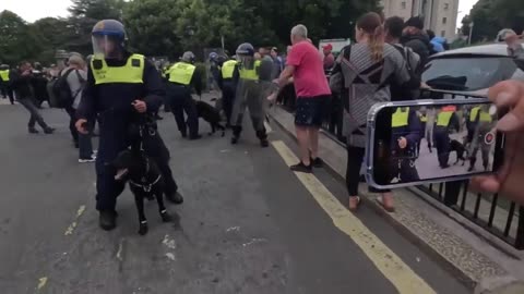 Police in Plymouth, UK unleash dogs on a man as his fellow countrymen