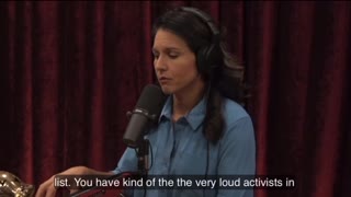 Tulsi Gabbard: If You Go Against Hillary Clinton, You’re Dead