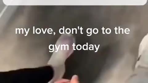 my love, don't go to the gym today #Fitness #fitnessmotivation #gym #gym