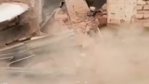 elephant destroying an old house 😱😱😱