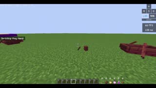 Mojang explain this.