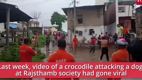 Crocodiles come out and enter the housing societies adjacent to it.