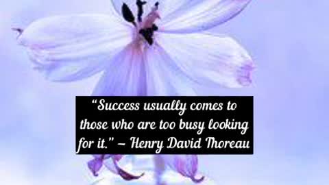 Success usually comes to those who are too busy looking for it Henry David Thoreau #motivation