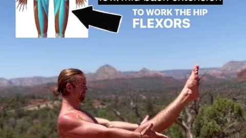 strengthen hip flexor flexion and improve low/mid back extension