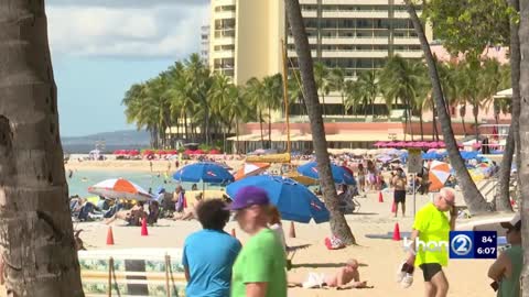 Japan, Hawaii tourism could climb in coming months