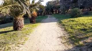 Walking in the park along the Coast