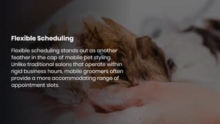 Mobile Pet Styling: The Perfect Solution for Busy Pet Owners