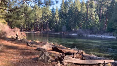 A River of Many Life Cycles – Metolius River – Central Oregon