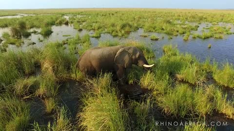 Botswana - The Wild Heart of Africa | Rhino Africa